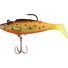 Speckled Mosquito Fish