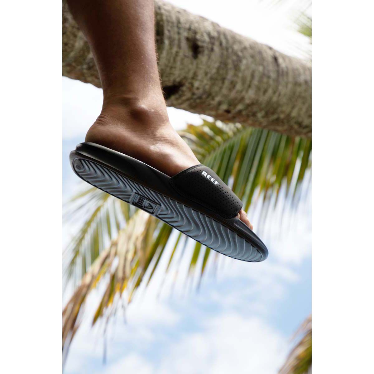 GOT BAG Shell Checked Rucksack - Reef Design, Nachhaltig & Stylisch (Einheitsgröße Damen)