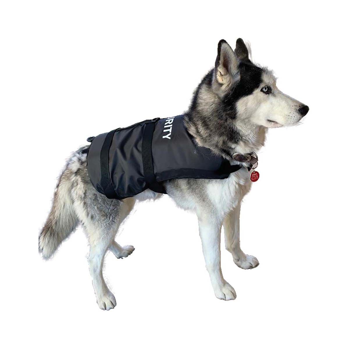 Dog life sales jacket bcf