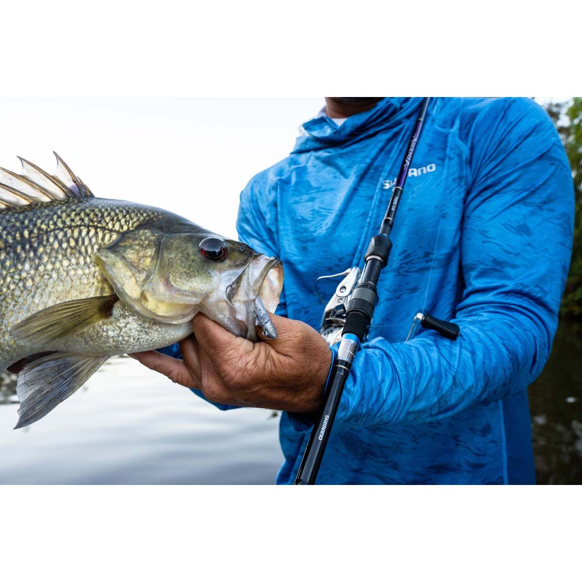 Shimano Ascenza Spinning Rod, , bcf_hi-res