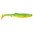 Aussie Shad