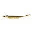 Tennessee Shad