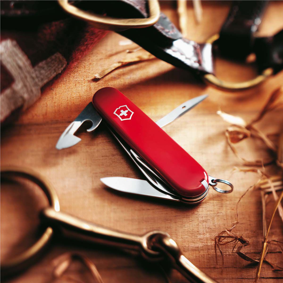 Victorinox BCF