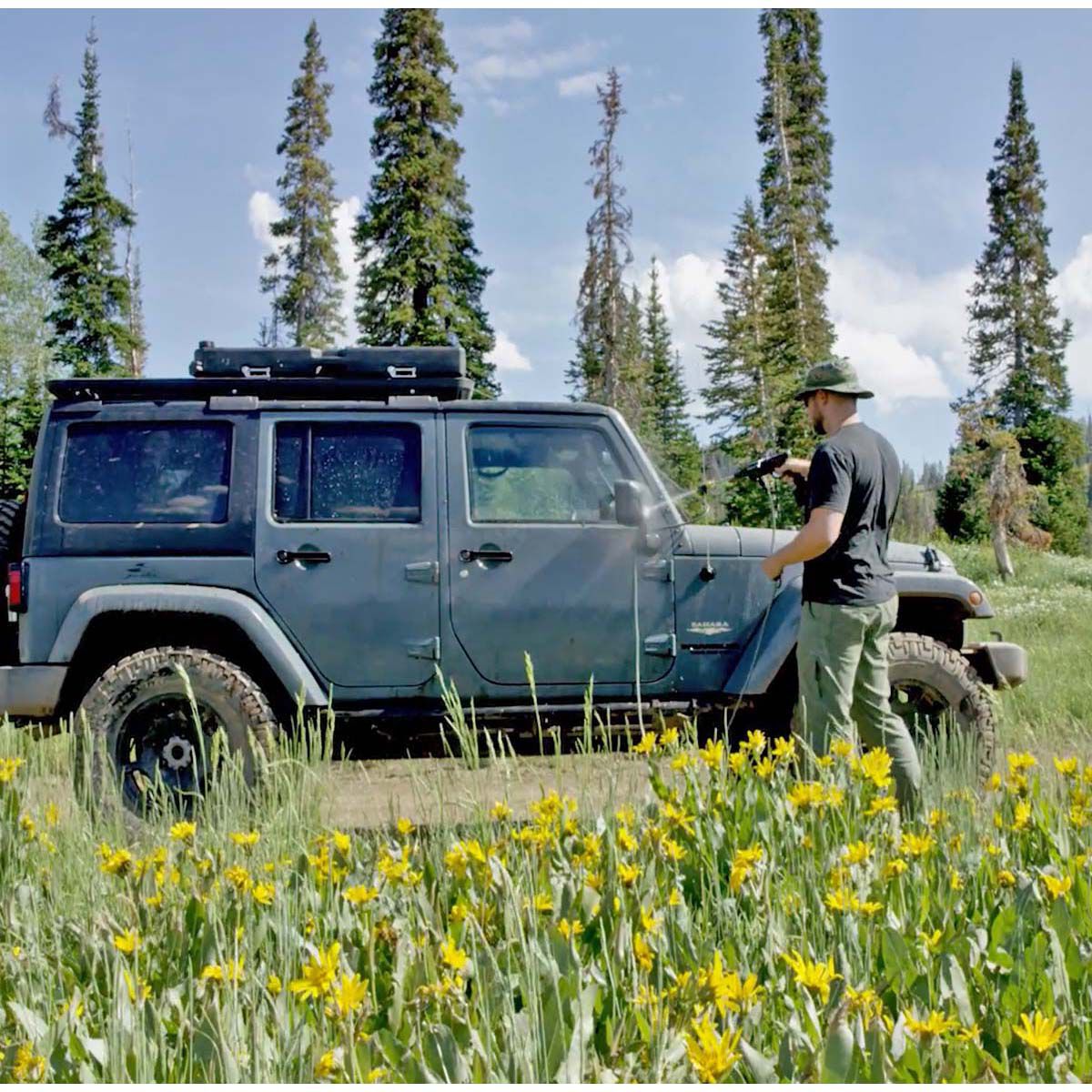 Midnight Forest Rain Flare, , bcf_hi-res