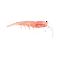 Pro Lure Clone Prawn Soft Plastic Lure 62mm Crystal Pink UV, Crystal Pink UV, bcf_hi-res