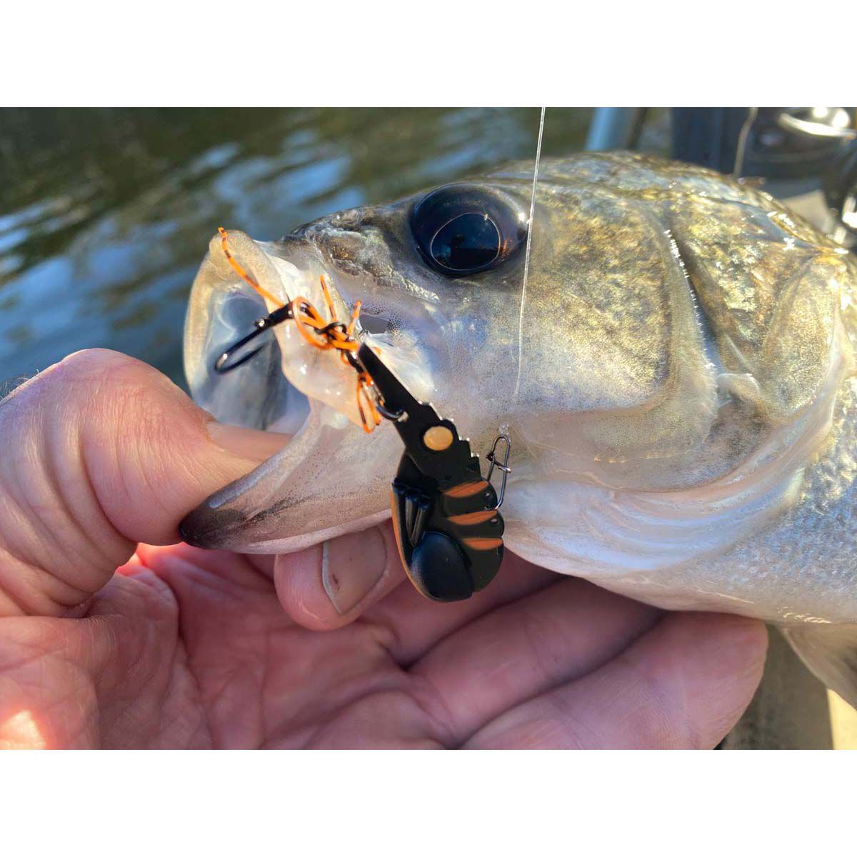 TT Fishing Switchprawn Blade Lure 50mm Gold Tiger, Gold Tiger, bcf_hi-res