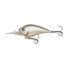 Silver Shad