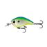 Citrus Shad