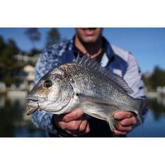 Pro Lure Blade V Vibe Lure 42mm Camo Prawn, Camo Prawn, bcf_hi-res