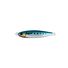 Sardine