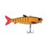 Mutant Goldfish