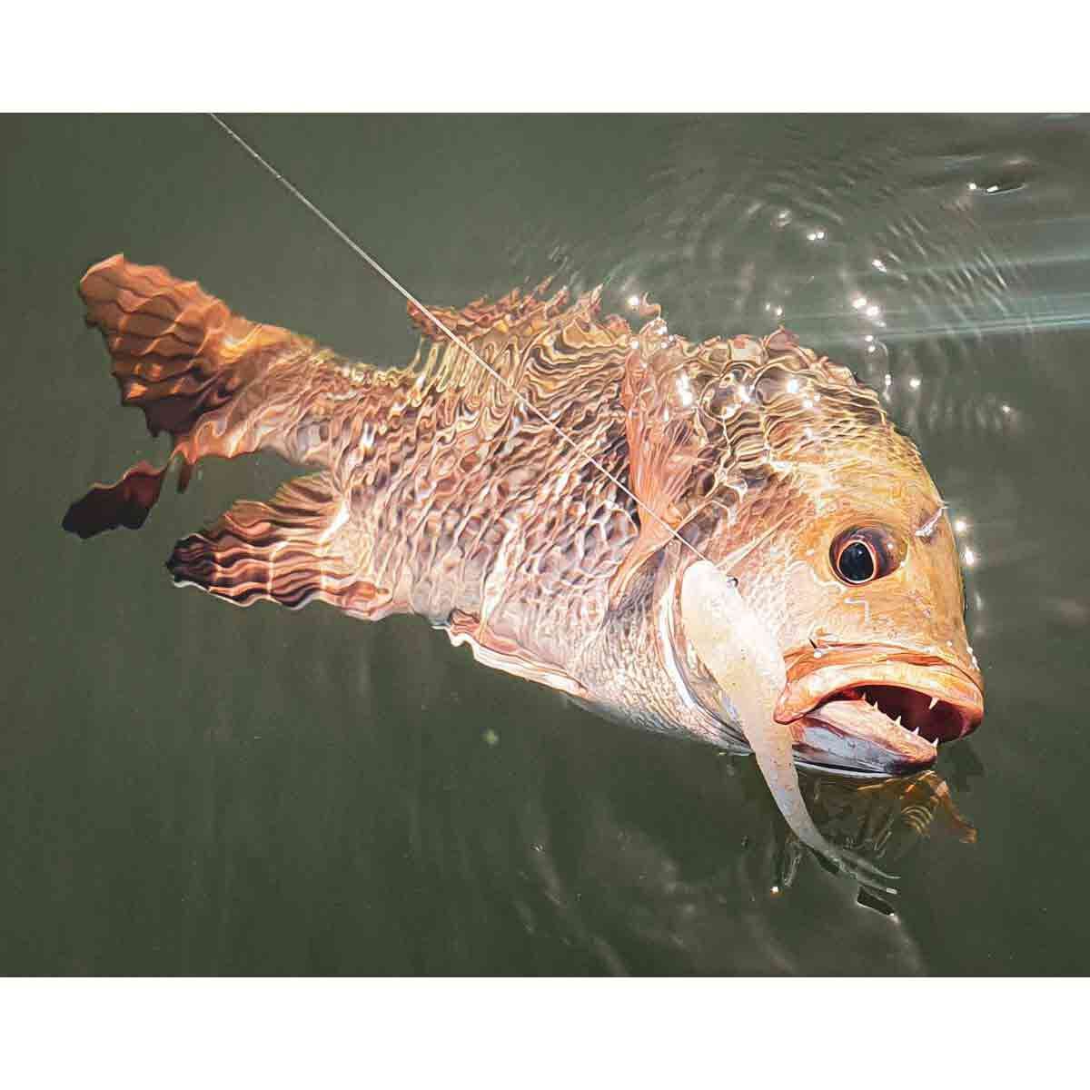 Rapala CrushCity Jerk Soft Plastic Lure 3.75in Rockmelon, Rockmelon, bcf_hi-res