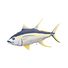 Yellowfin Tuna