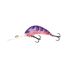 Purple Shrimp