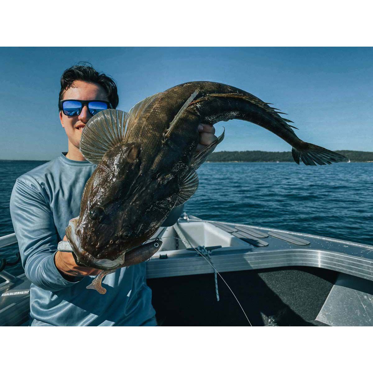 ZMan HerculeZ Soft Plastic Lure 6in Bad Shad, Bad Shad, bcf_hi-res