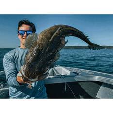 ZMan HerculeZ Soft Plastic Lure 6in Bad Shad, Bad Shad, bcf_hi-res