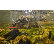 Berkley Gulp! Shrimp Soft Plastic Lure 2in Camo, Camo, bcf_hi-res