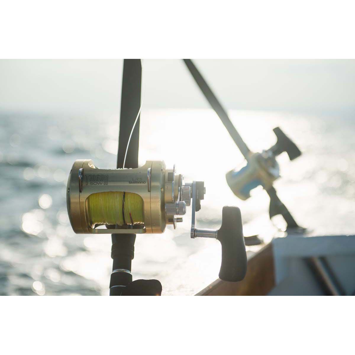 Shimano Tiagra WA TI50W LRSA Overhead Reel, , bcf_hi-res