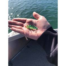 TT Fishing Switchblade Plus Blade Lure 37mm Green Shad, Green Shad, bcf_hi-res