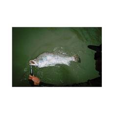 Samaki Stainless Steel Lip Grip 11in, , bcf_hi-res