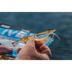 Nomad Live Ops Switcher Shrimp Soft Plastic Lure 5in Black and Gold, Black and Gold, bcf_hi-res