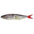 ST BW Shad