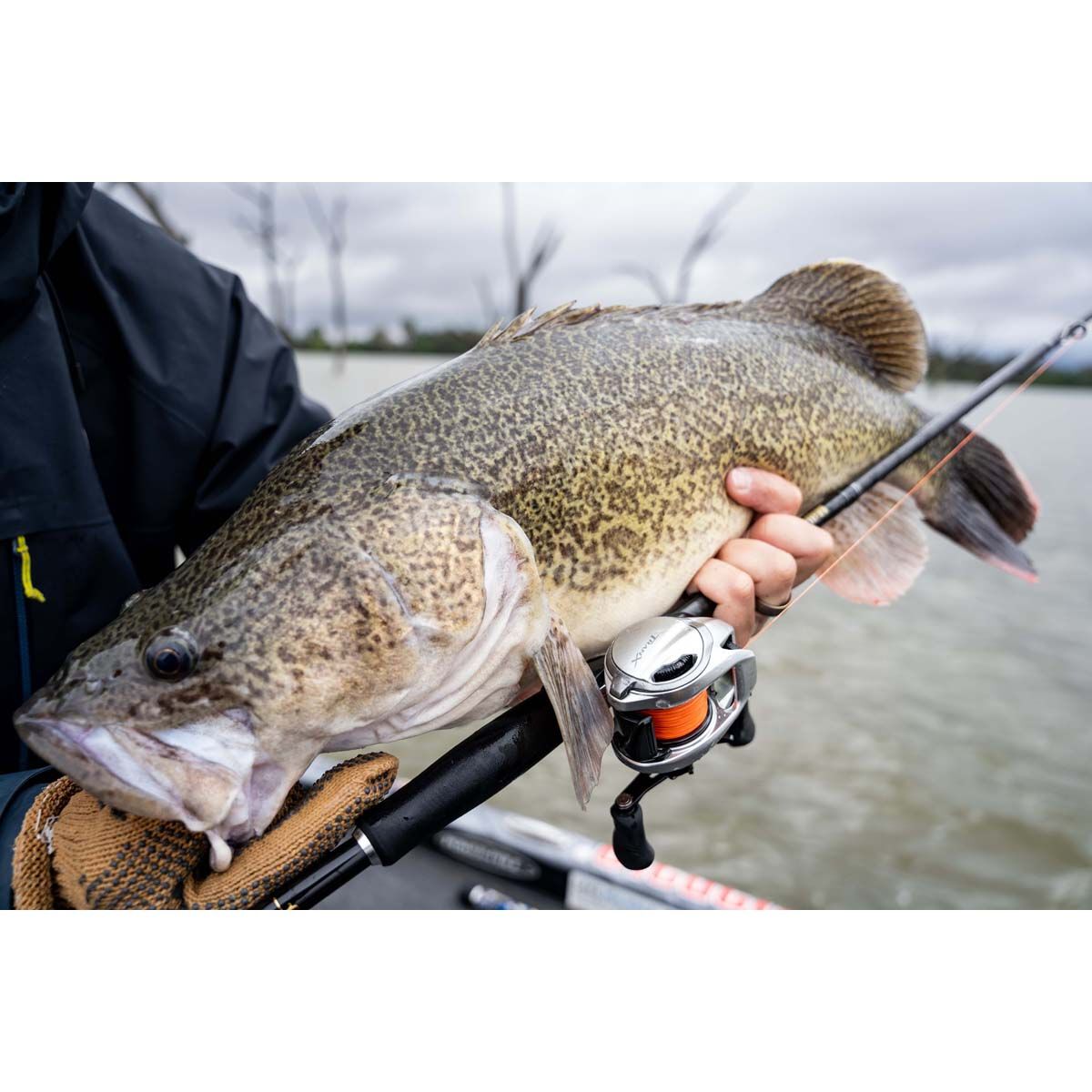 Shimano Tranx 300B Baitcaster Reel, , bcf_hi-res