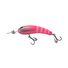 Pink Scale
