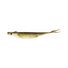 Tennessee Shad