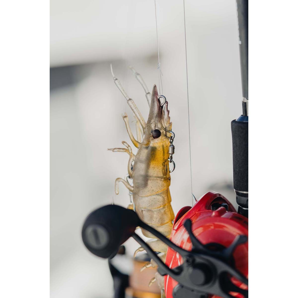 Nomad Live Ops Sumo Shrimp Pre-Rigged Soft Plastic Lure 4in Fire Tiger, Fire Tiger, bcf_hi-res