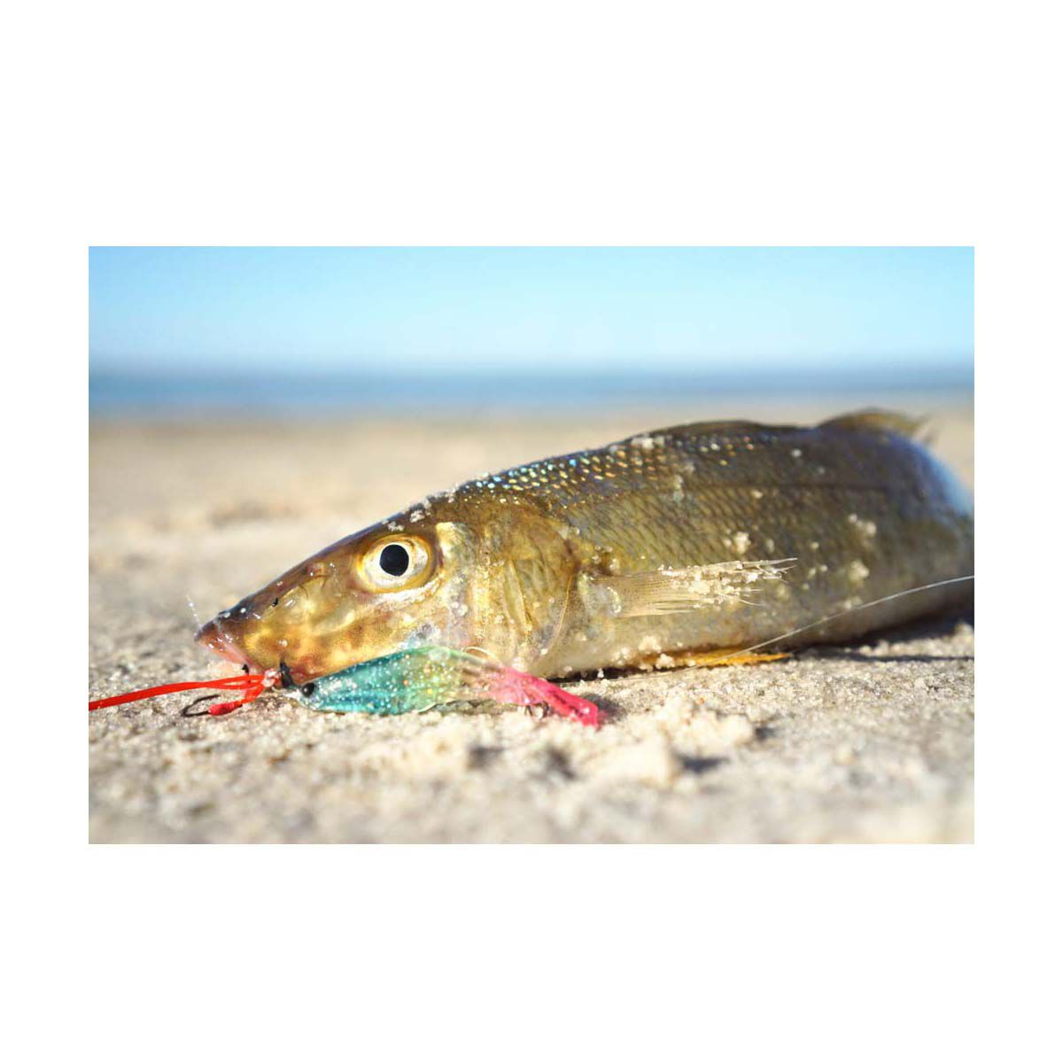 Ocean's Legacy Stinger Micro Assist Hook, , bcf_hi-res