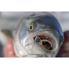 Berkley PowerBait Shrimp Soft Plastic Lure 3in Bloodworm, Bloodworm, bcf_hi-res