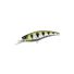 Archer Fish