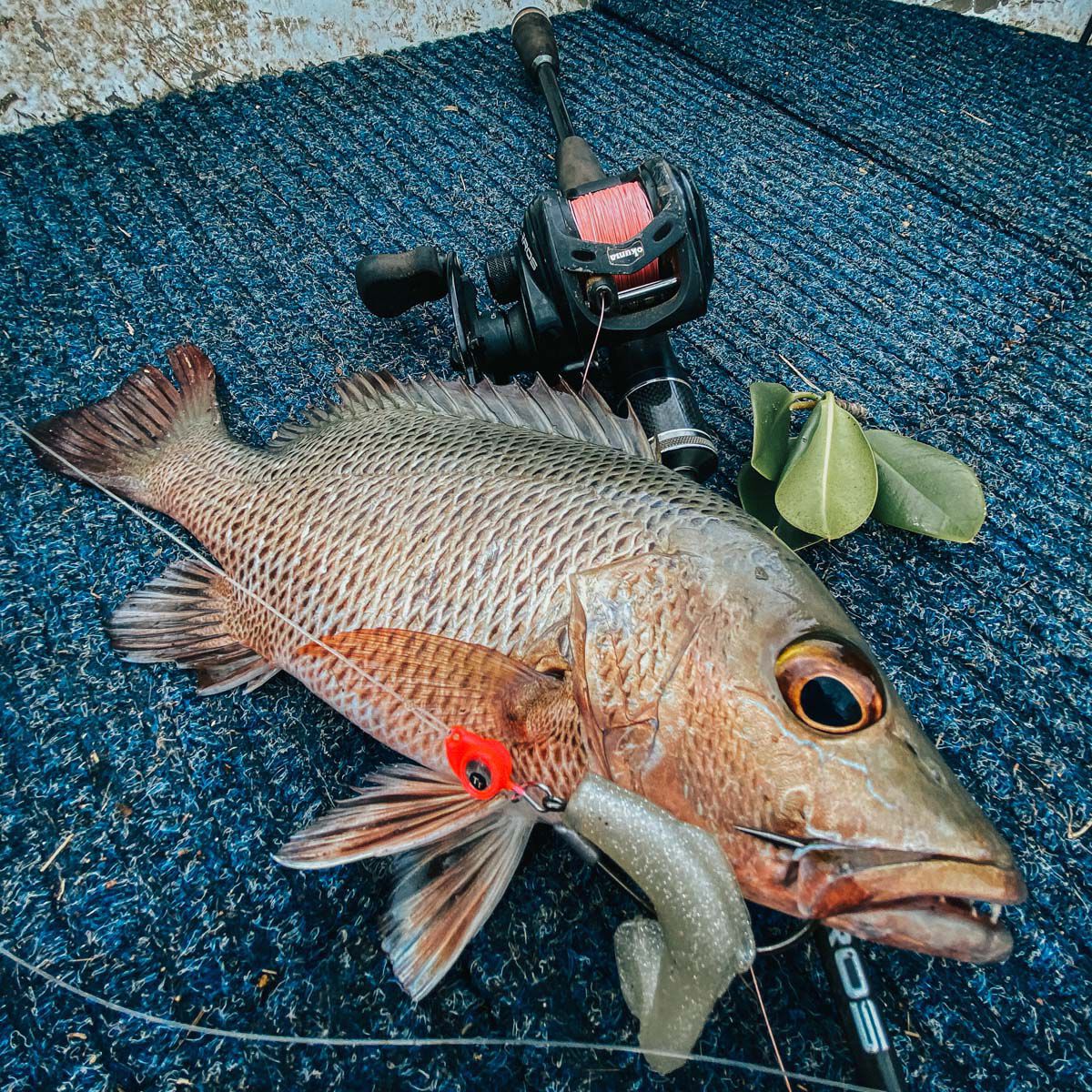 TT Fishing Snake EyeZ Jigheads Pearl, , bcf_hi-res