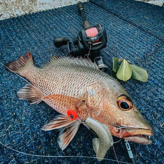 TT Fishing Snake EyeZ Jigheads Pearl, , bcf_hi-res