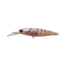 Jackall Squirrel Hard Body Lure 61mm Brown Suji Shrimp, Brown Suji Shrimp, bcf_hi-res