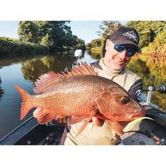 Rapala CrushCity Jerk Soft Plastic Lure 3.75in Pearl Watermelon, Pearl Watermelon, bcf_hi-res