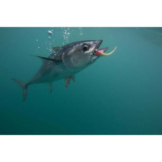 Berkley Gulp! Jerk Shad Soft Plastic Lure 5in Satay Chicken, Satay Chicken, bcf_hi-res