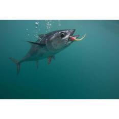 Berkley Gulp! Jerk Shad Soft Plastic Lure 7in Pilchard, Pilchard, bcf_hi-res