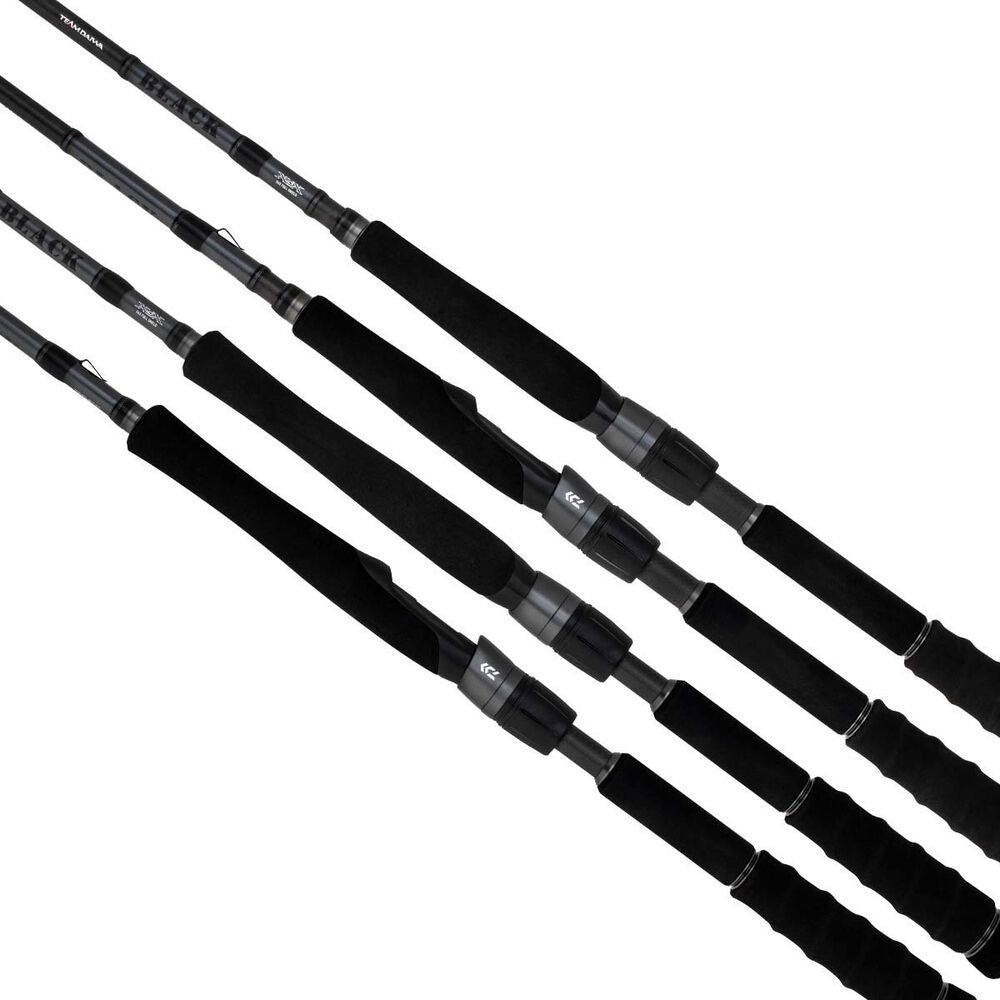 Daiwa 23 TD Black Spinning Rod | BCF