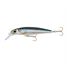 Anchovy