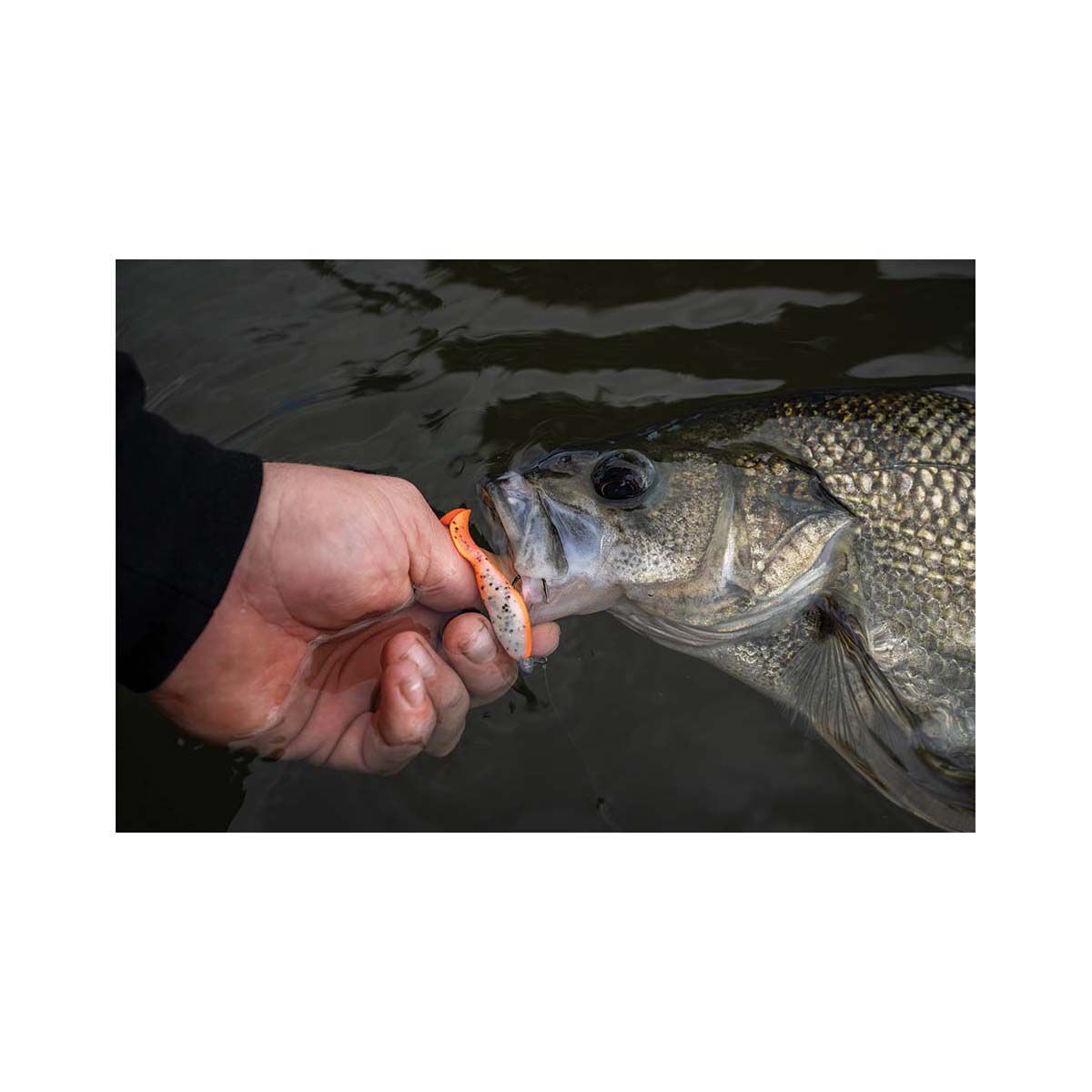 Berkley Gulp! Minnow Grub Soft Plastic Lure 3in Black, Black, bcf_hi-res