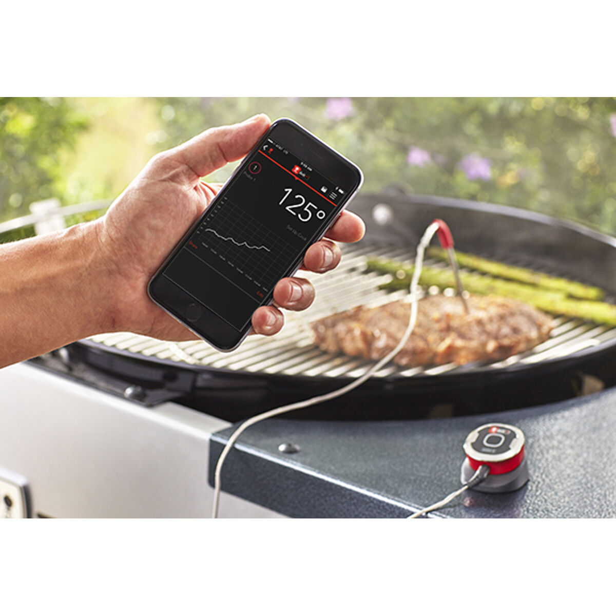 Weber iGrill Mini Thermometer | BCF