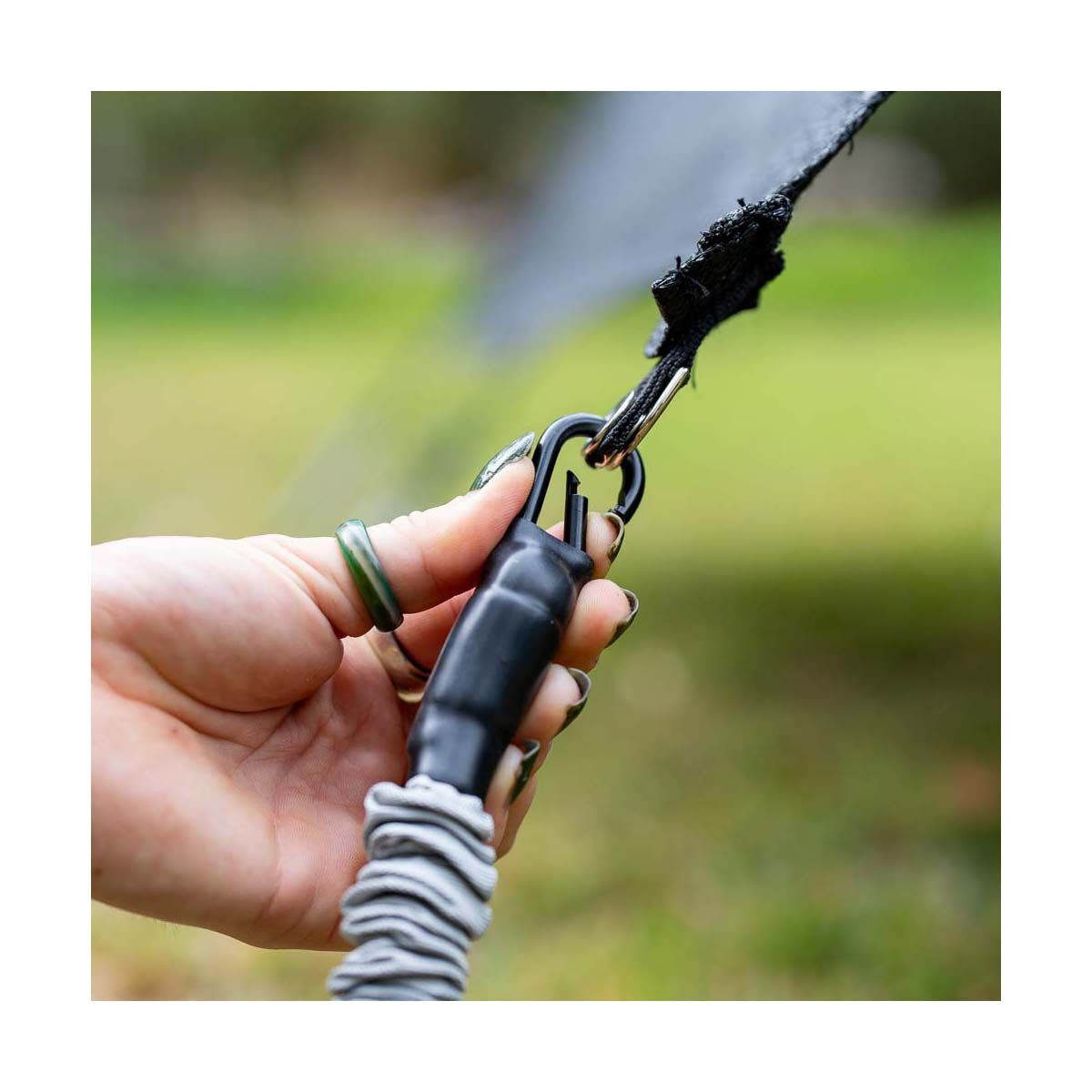 Tiegear STEADFAST Screen Spring Tie Downs 6 Pack, , bcf_hi-res