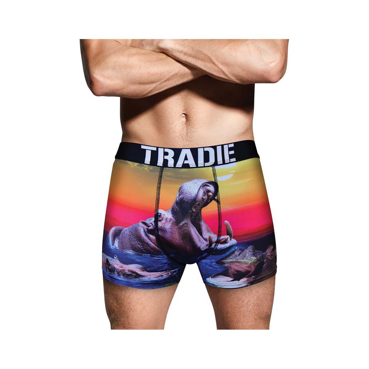 Tradie Men's Harry Hippo Trunk Print S, Print, bcf_hi-res