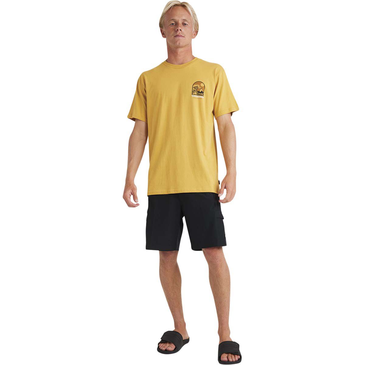 Quiksilver Men&rsquo;s Fuji Short Sleeve Tee, , bcf_hi-res