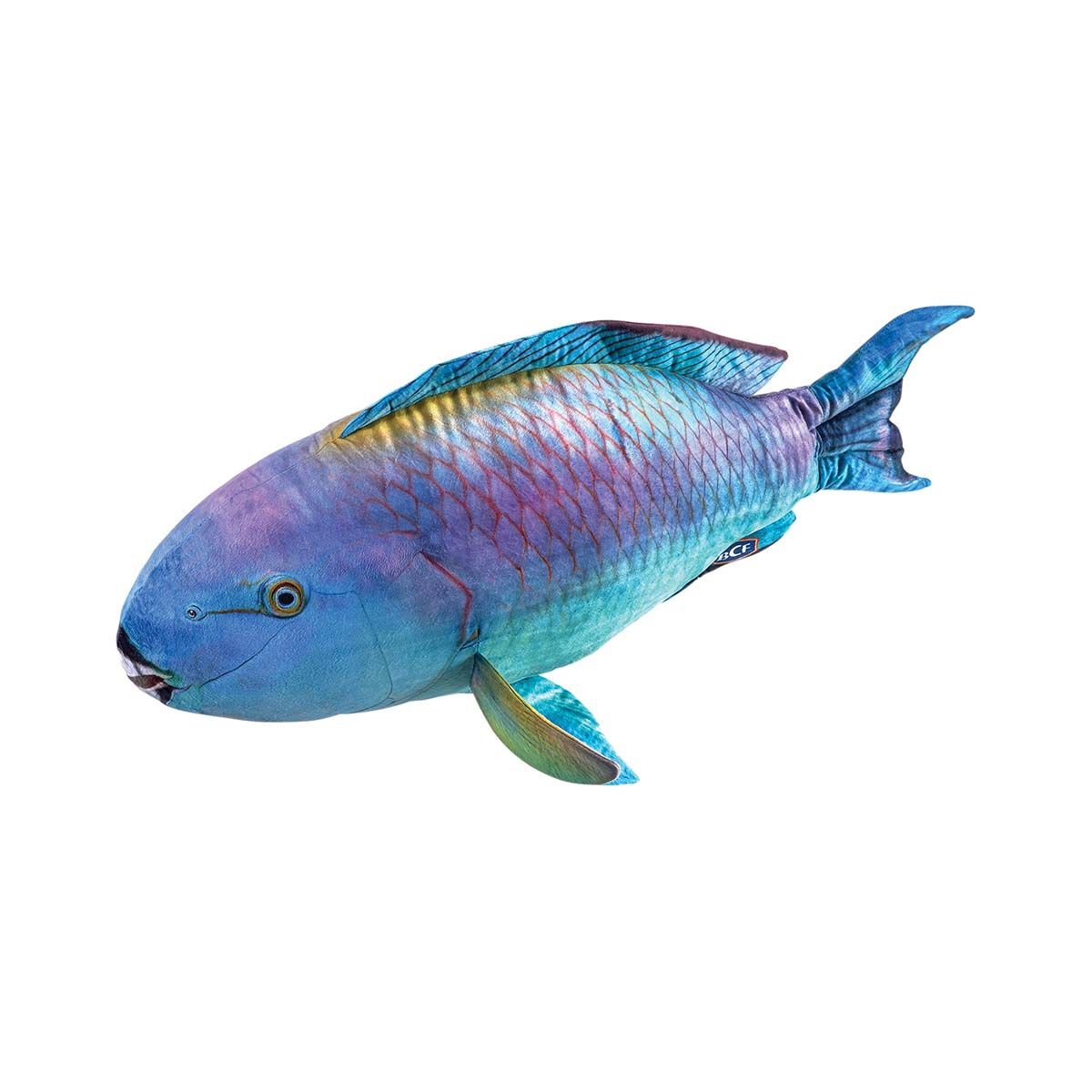 BCF Parrotfish 80cm Plush Toy, , bcf_hi-res