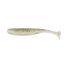 Ghost Rainbow Trout