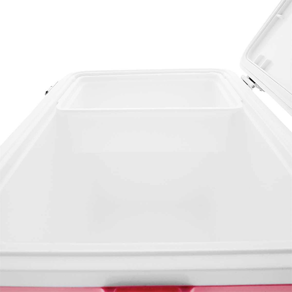 Pink shop esky bcf