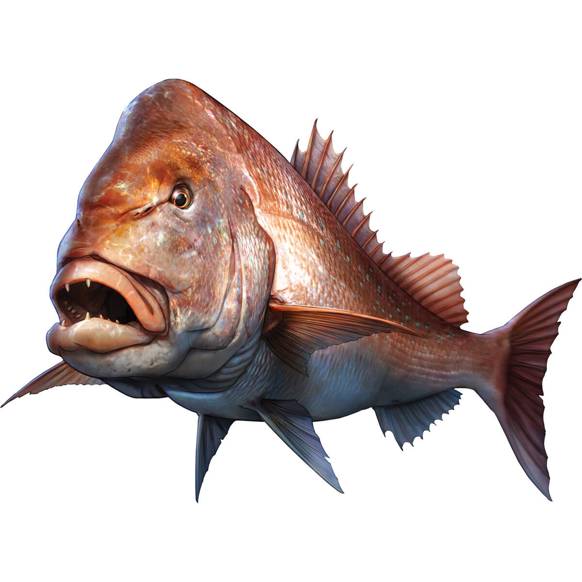 Savage Fishing Sticker Small 2 Pack Bcf